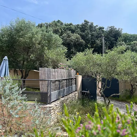 Pierre Blanche Le Calme A 5mn Du Centre Nimes