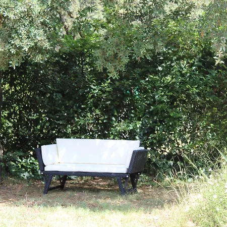 Pierre Blanche Le Calme A 5mn Du Centre